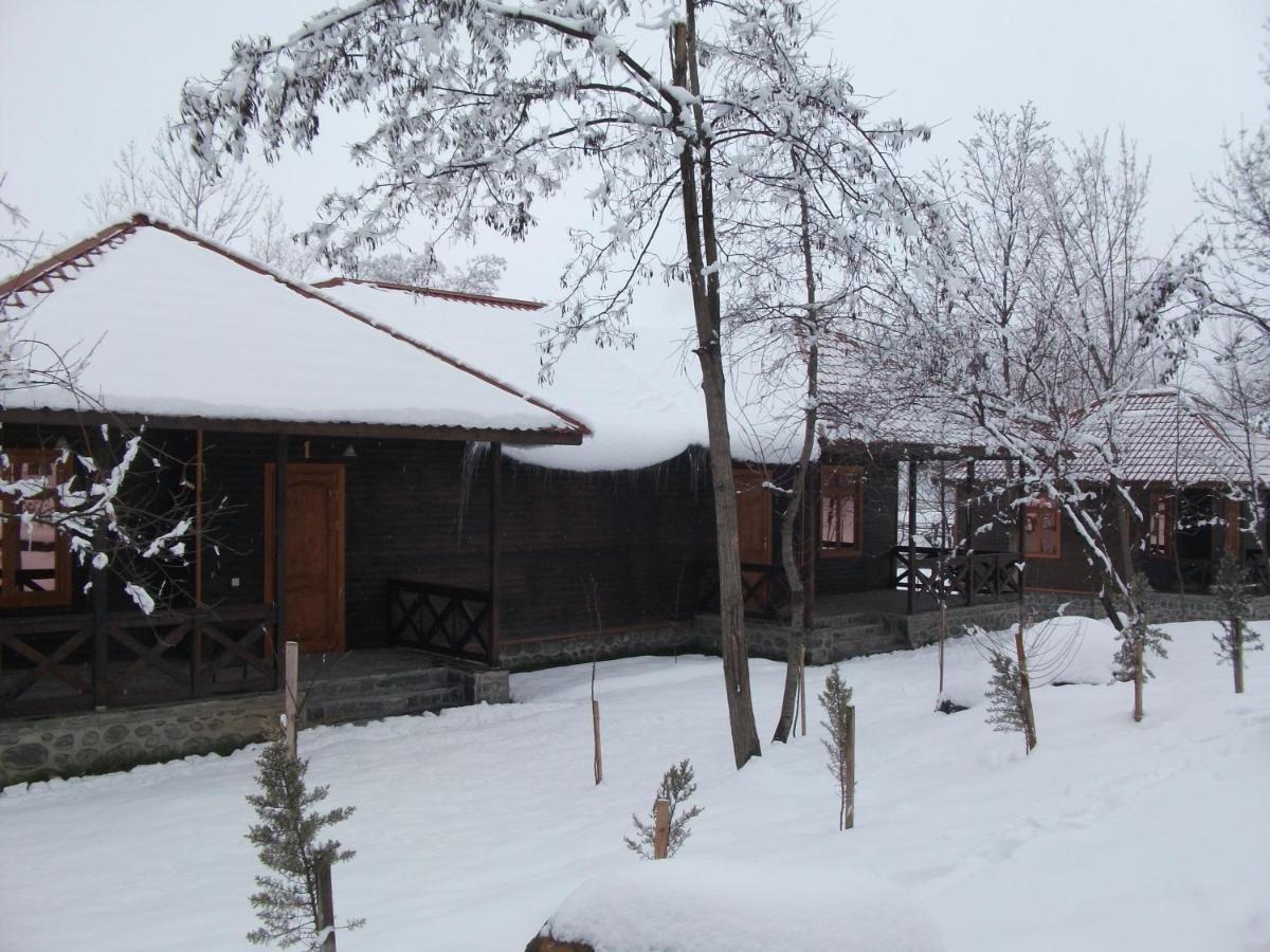 Kish Adasi Resort Sheki Exterior photo
