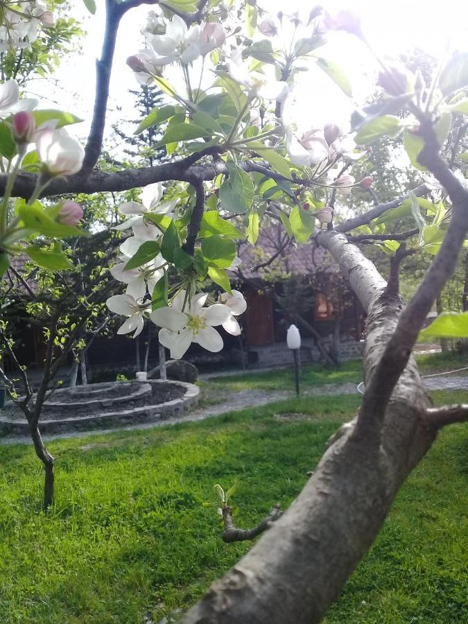 Kish Adasi Resort Sheki Exterior photo